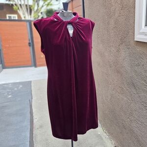 Karl Lagerfeld Midnight Crimson Velvet Sheath Dress (16)